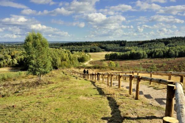 Chalet Veluwe Wageningen Villa Ngoại thất bức ảnh